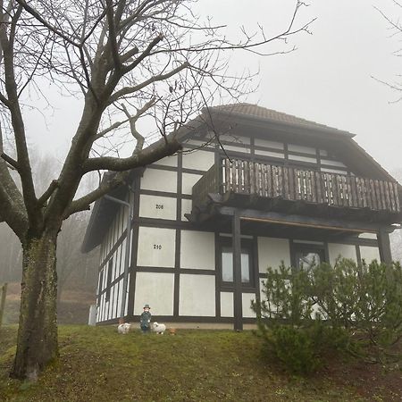 Frankenau Ferienwohnung Lix Direkt Am Waldrand מראה חיצוני תמונה