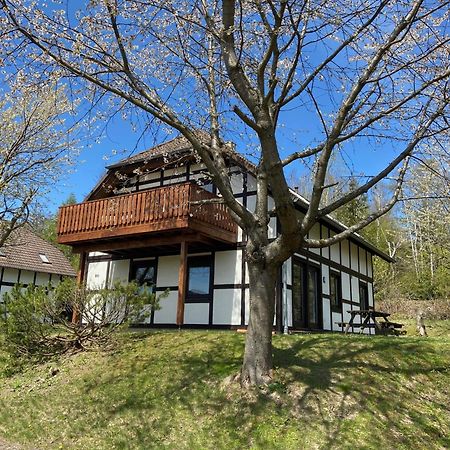 Frankenau Ferienwohnung Lix Direkt Am Waldrand מראה חיצוני תמונה