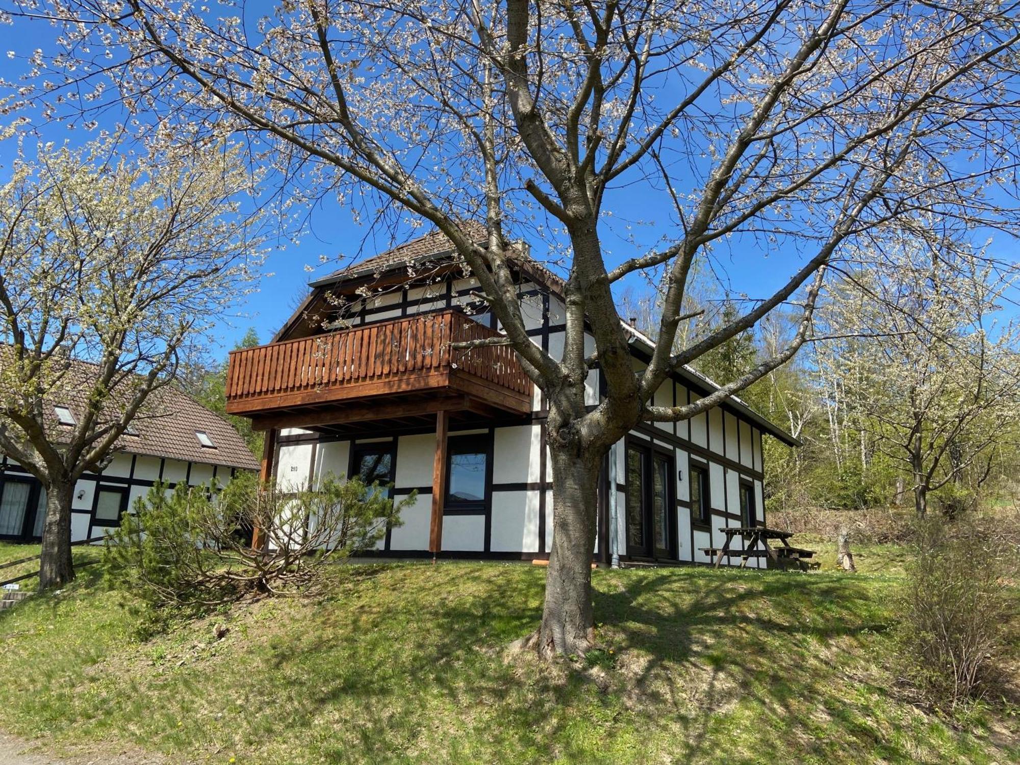 Frankenau Ferienwohnung Lix Direkt Am Waldrand מראה חיצוני תמונה